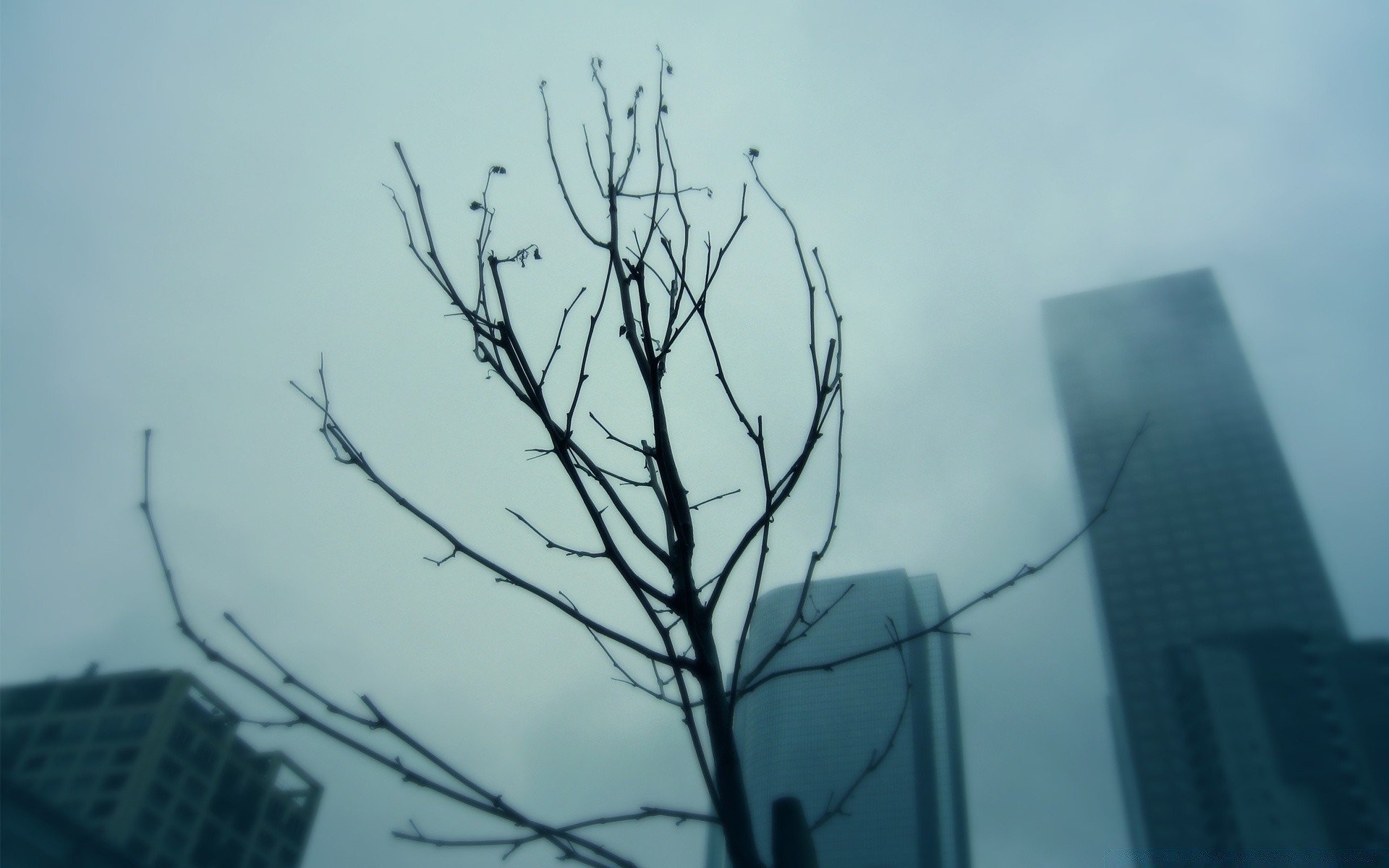 other city landscape sky winter silhouette light fog city weather storm dawn rain tree