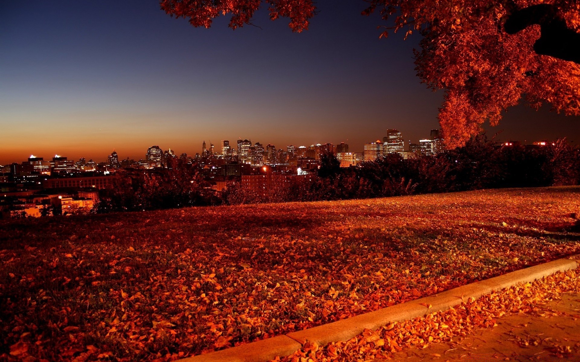 other city fall sunset evening dawn outdoors tree