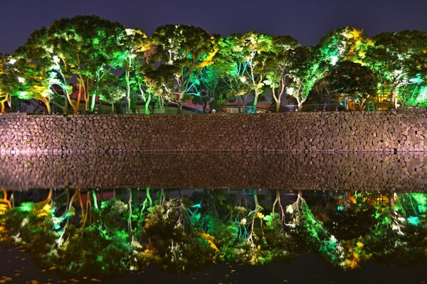 Embankment water forest trees