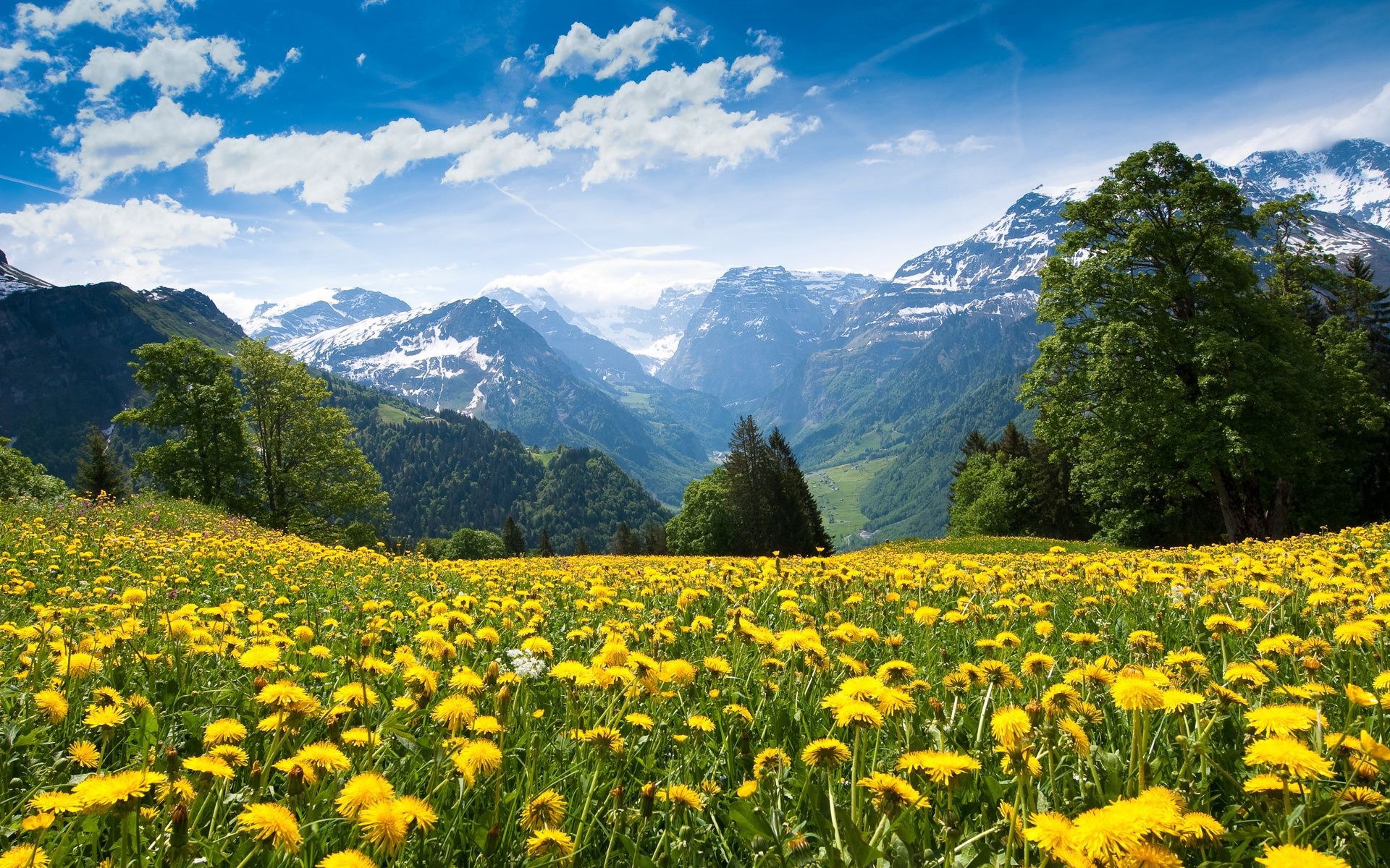 campi prati e valli paesaggio montagna fieno natura scenico all aperto estate erba cielo scena rurale campo paese spettacolo viaggi ambiente paesaggio pascolo bel tempo