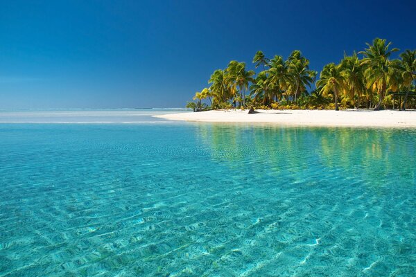 Paysage tropical. Île en mer