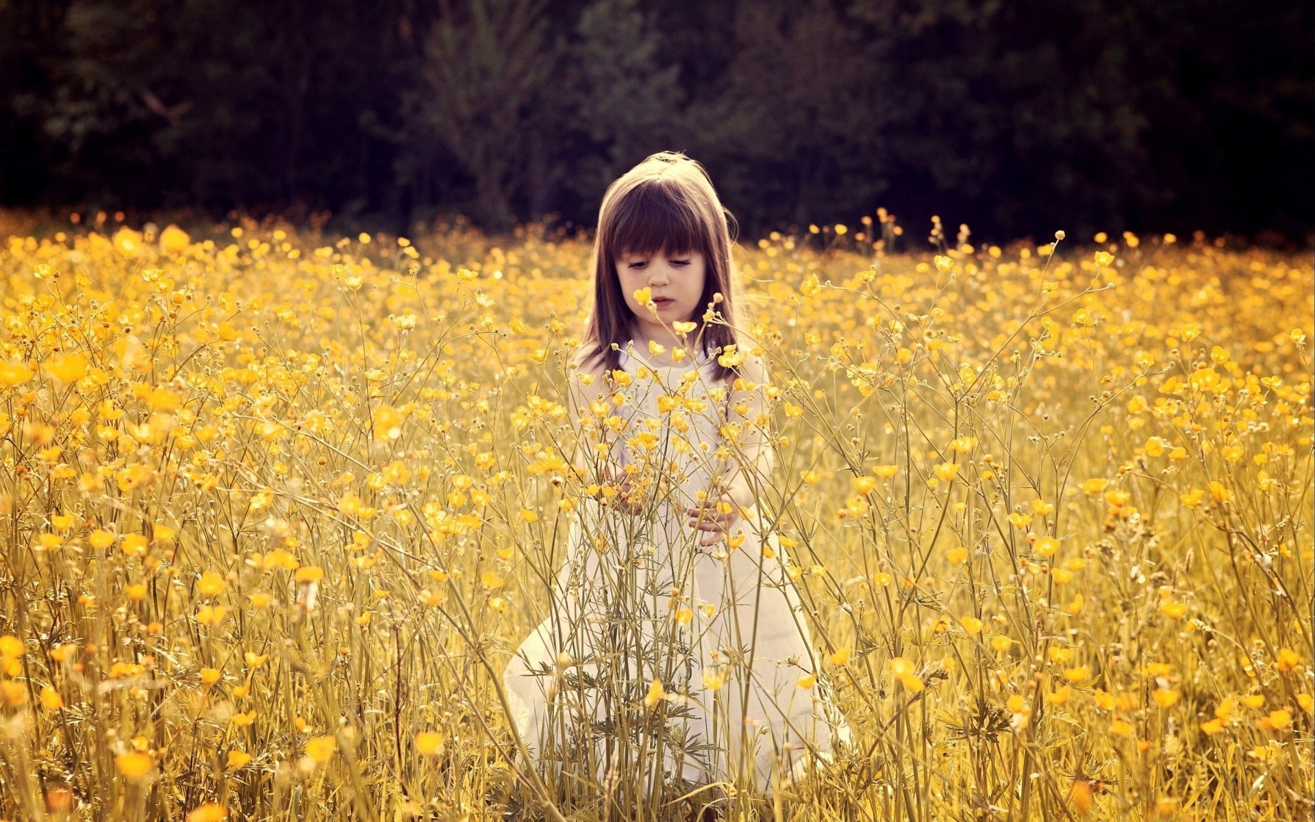 bambini natura campo all aperto erba fieno campagna bel tempo rurale estate fiore autunno stagione paesaggio parco sole flora