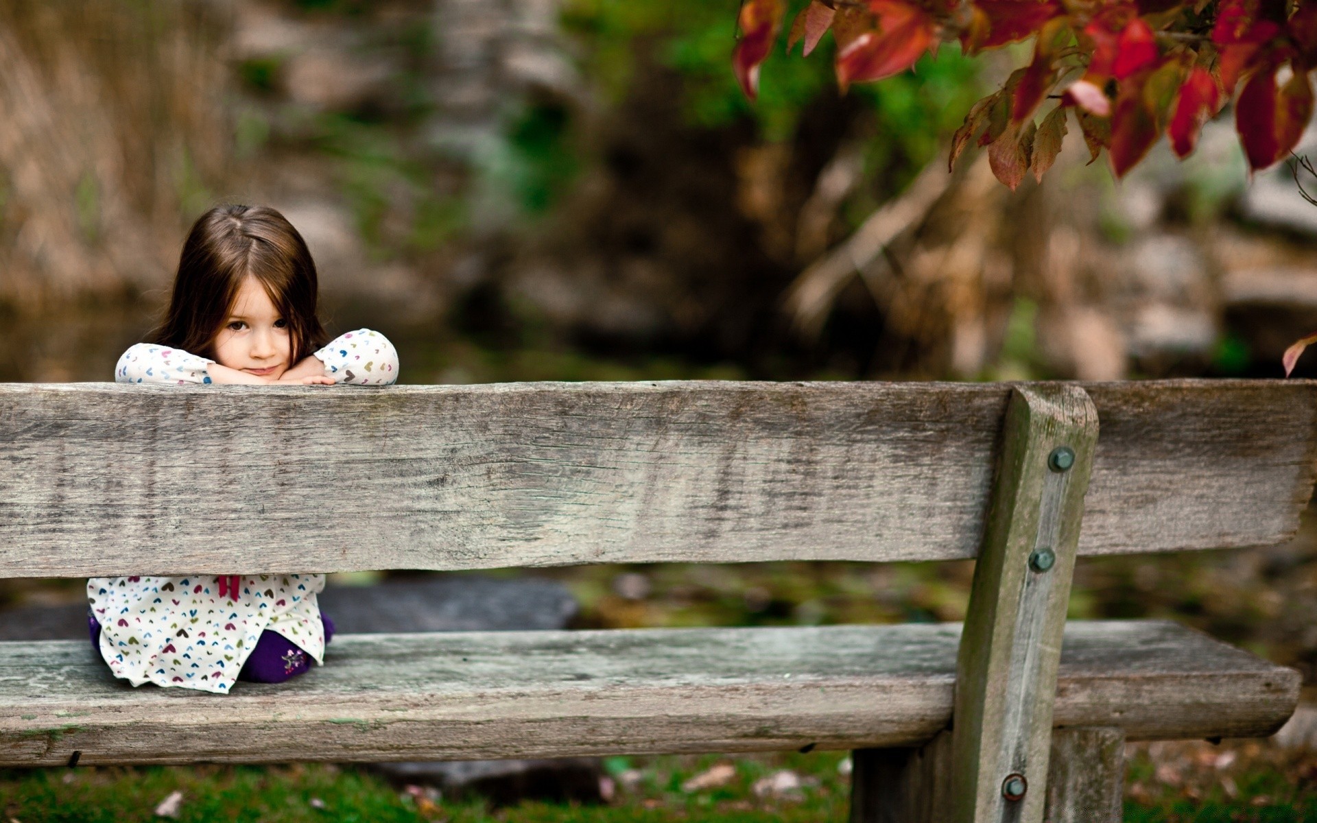 bambini di legno natura all aperto albero parco foglia giardino di legno autunno estate erba per il tempo libero del bambino della ragazza di fiore