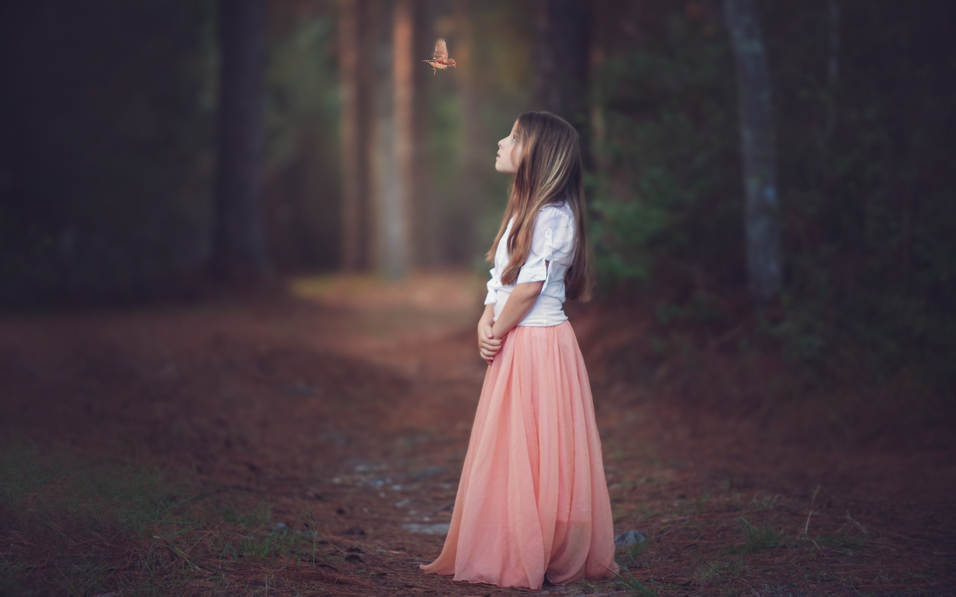 kinder frau kleid mode mädchen hochzeit im freien porträt natur herbst ein erwachsener modell braut holz