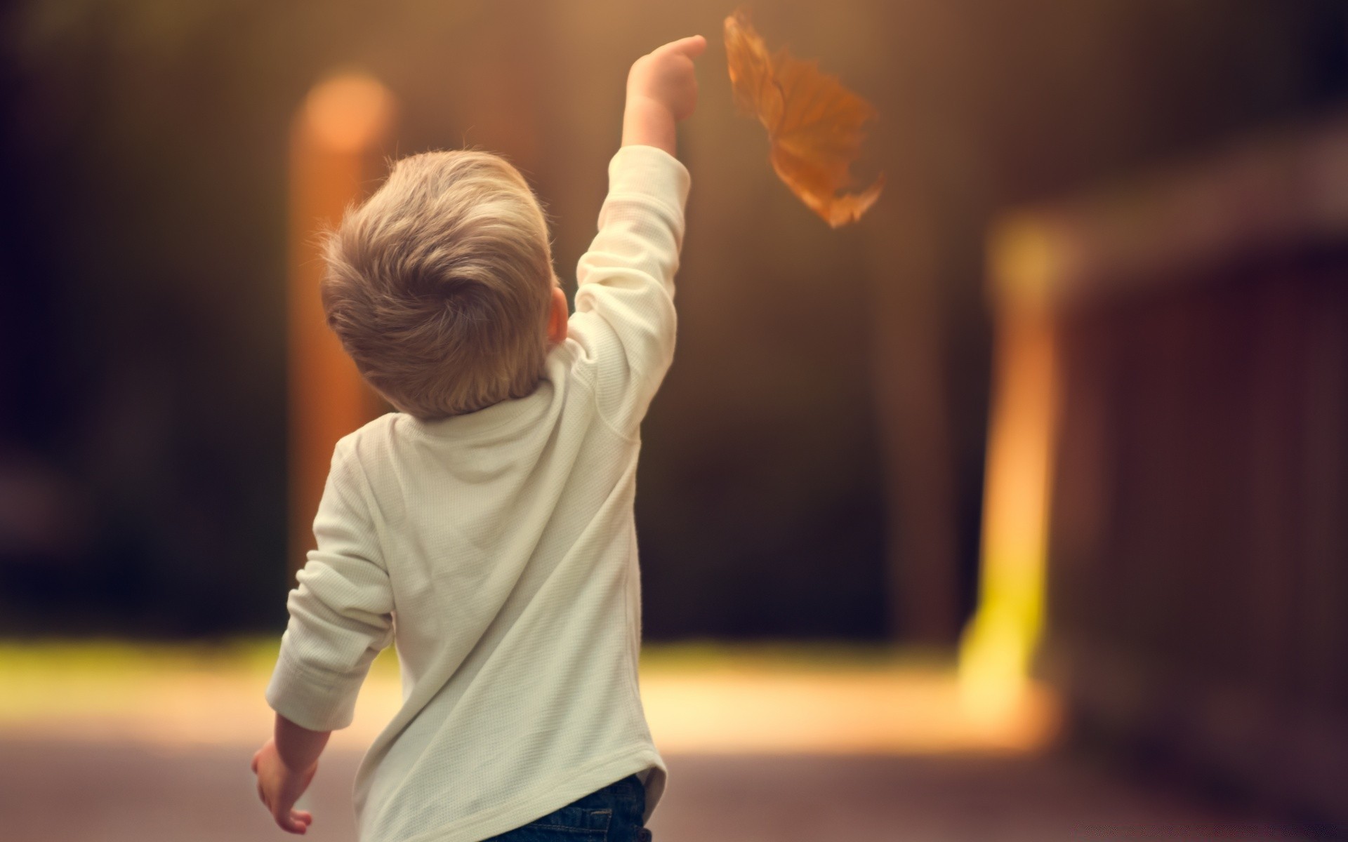 animales amantes solo desenfoque niño hombre adulto mujer retrato concurso al aire libre