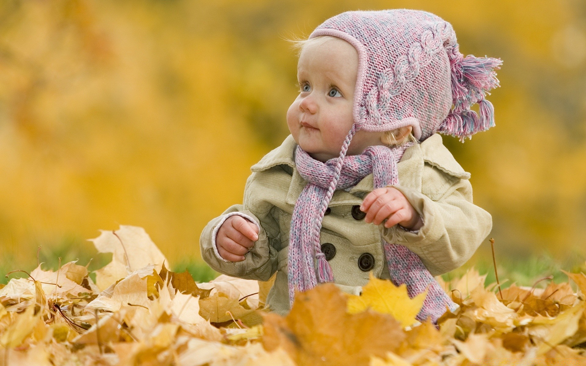 kinder herbst natur kind park im freien ahorn wenig freude niedlich mädchen glück blatt gras schön saison im freien urlaub lächeln