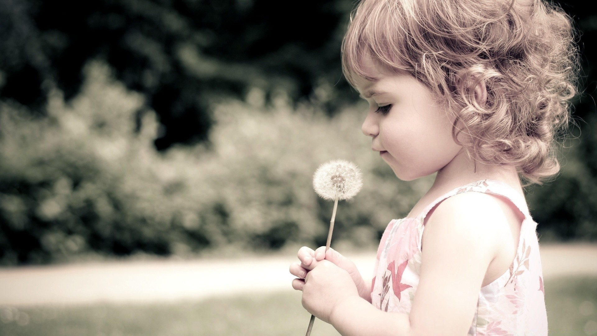 children child little summer cute fun nature girl grass outdoors baby innocence park beautiful portrait