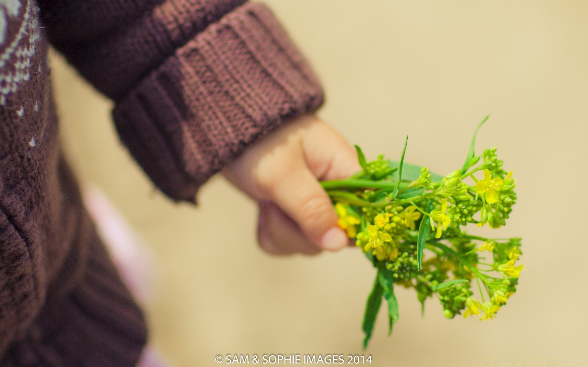 bambini natura foglia donna