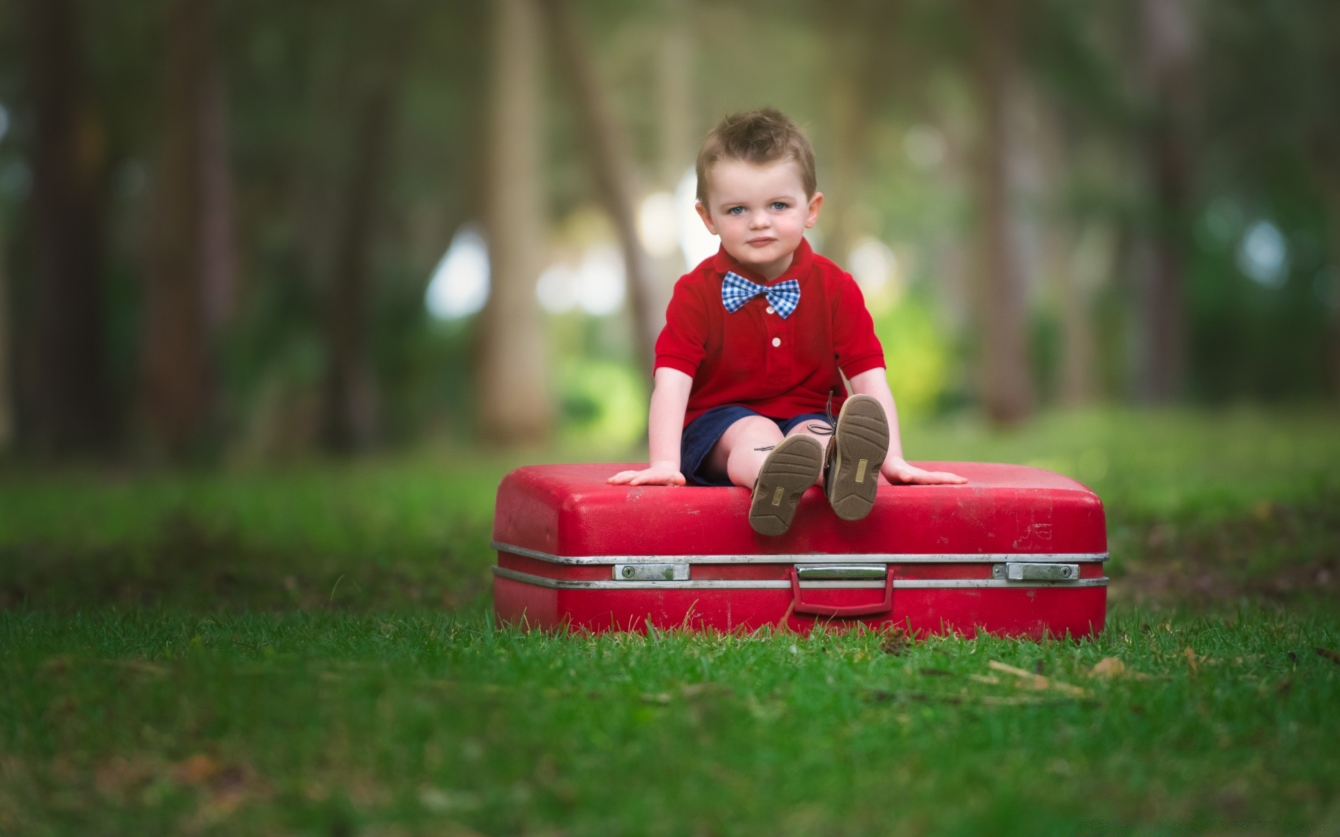 children child grass outdoors fun summer park little cute leisure boy one recreation nature sit