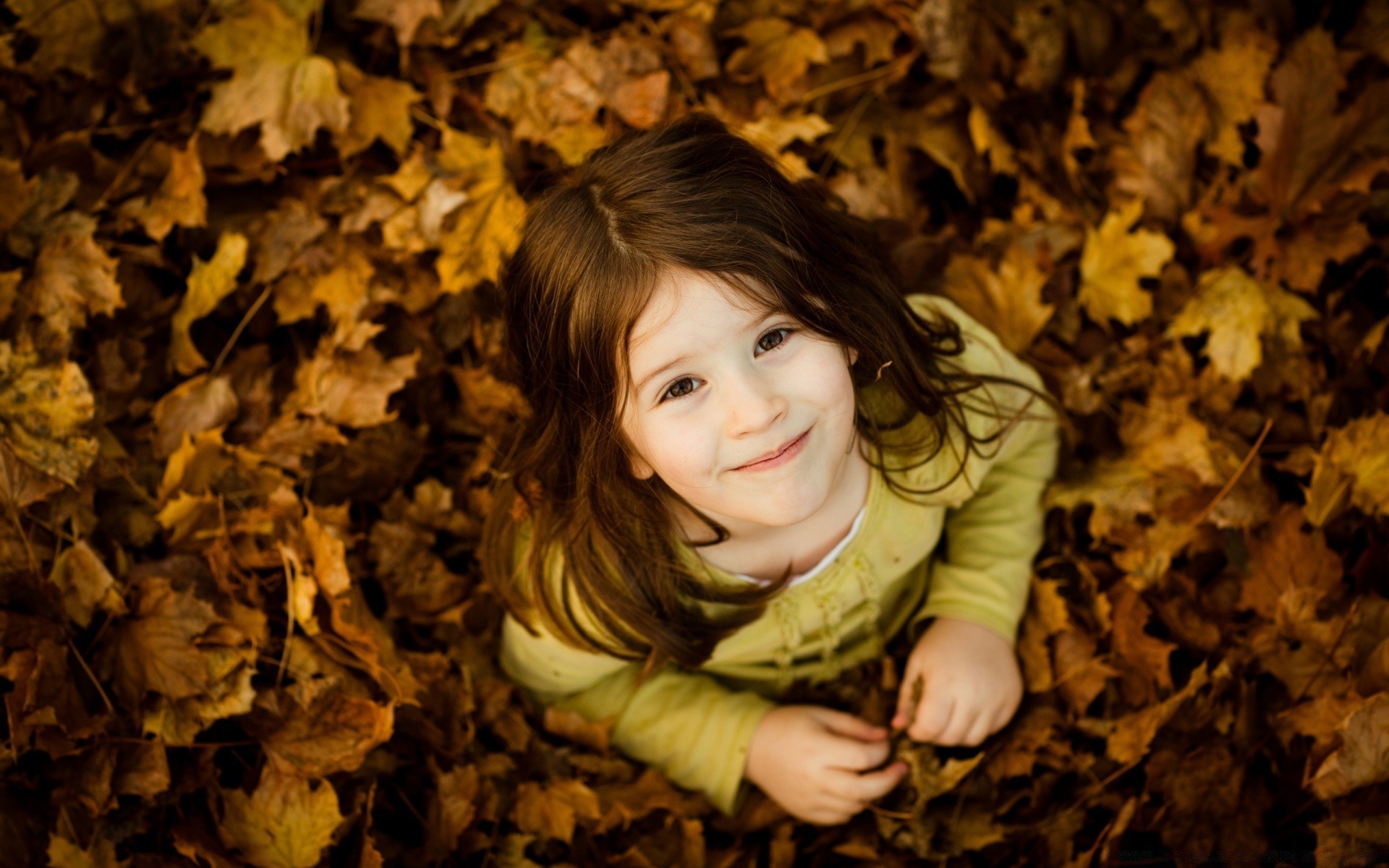 niños otoño chica naturaleza hoja madera arce parque hermoso retrato solo cara árbol moda lindo luz al aire libre modelo sonrisa