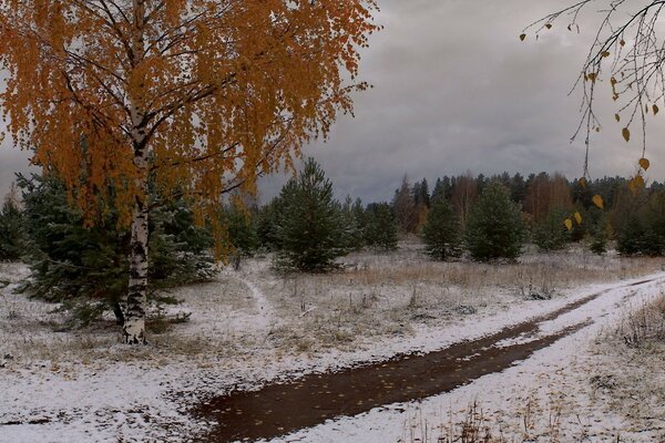 Respiración pesada del frío del invierno