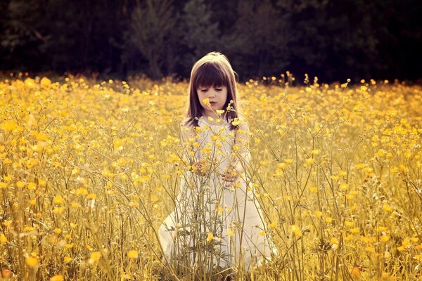 A little girl in a flower field