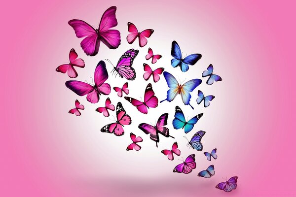 Lots of butterflies on a pink background