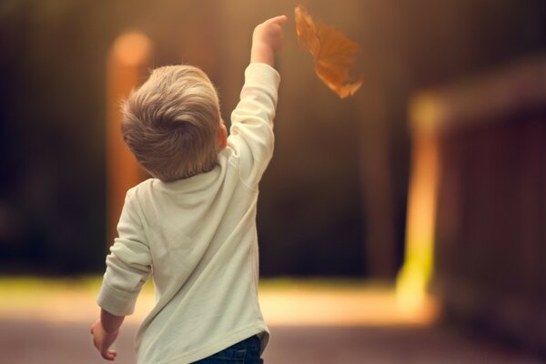 A blond boy sends a leaf to fly