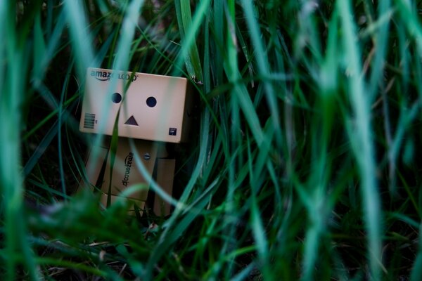 机器人从草丛中窥探人