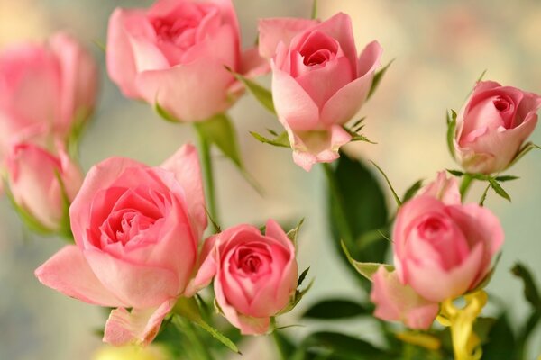 Lieblingsblumen in einem Blumenstrauß für Romantik