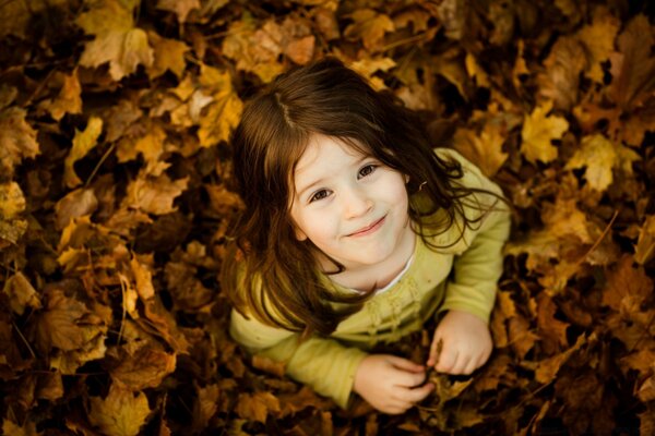 Relenok on the background of autumn leaves