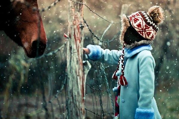 A girl wants to pet a horse