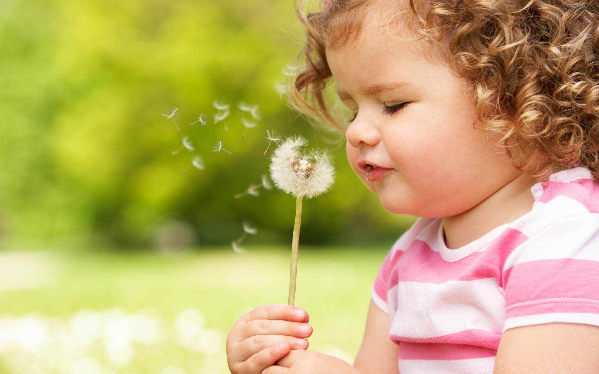 kinder kind wenig niedlich sommer vergnügen natur gras im freien kind mädchen unschuld vergnügen urlaub park