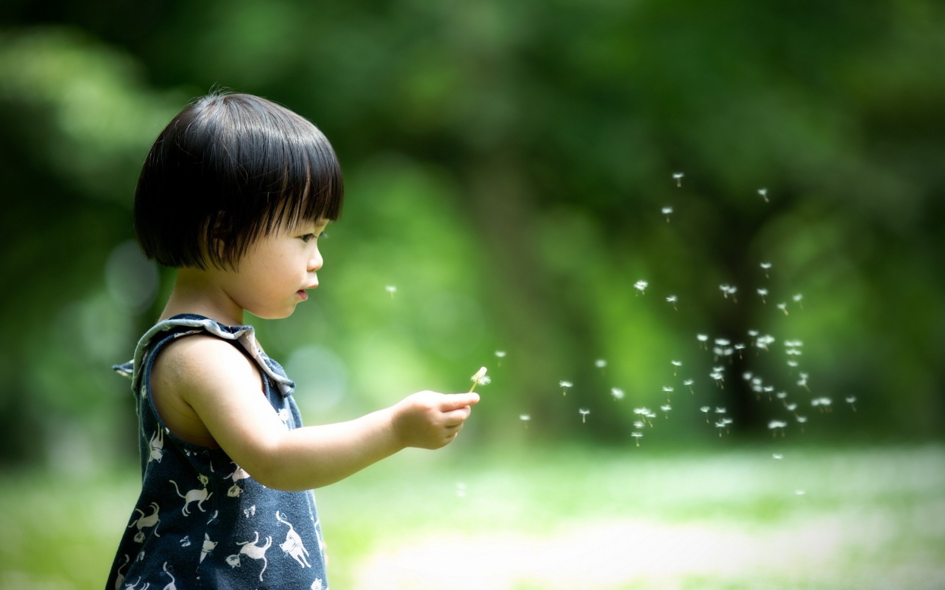 孩子们 宝贝 大自然 夏天 户外 草 女孩 公园 可爱 小 有趣 婴儿 肖像 有趣 一个 好天气