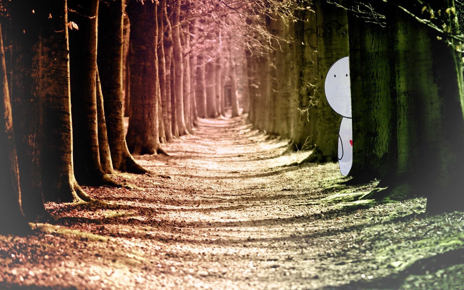 romantik holz licht holz führung tunnel geheimnis schatten natur park landschaft dunkel zu fuß gasse blatt