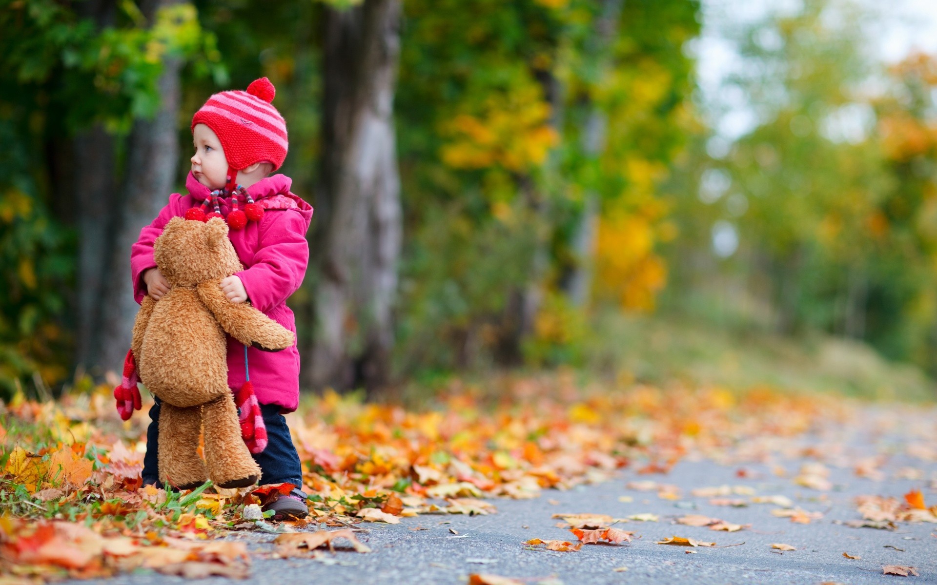 kinder herbst blatt natur park im freien mädchen ahorn holz holz