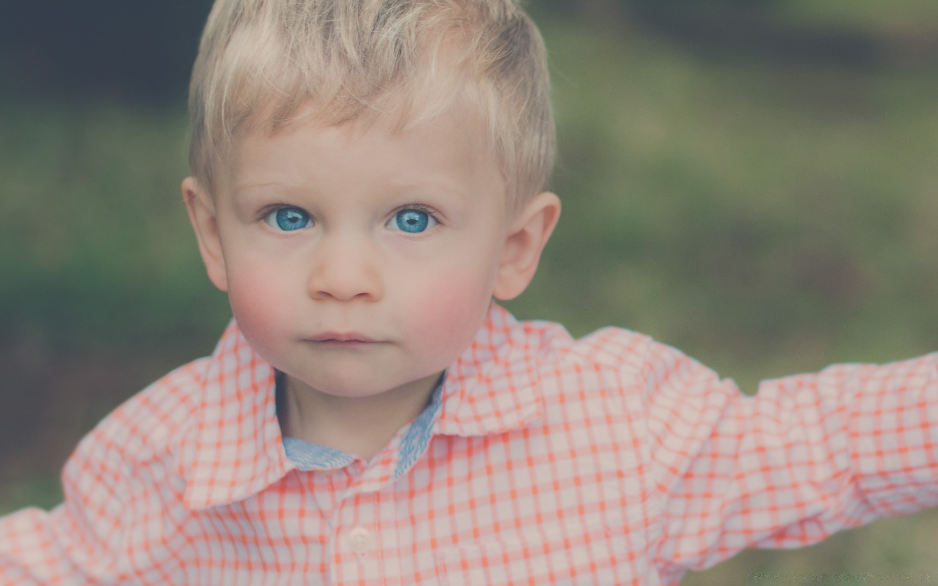 bambini bambino carino piccolo bambino divertimento innocenza ragazzo bambino all aperto da solo ritratto natura estate erba gioia parco gioventù felicità