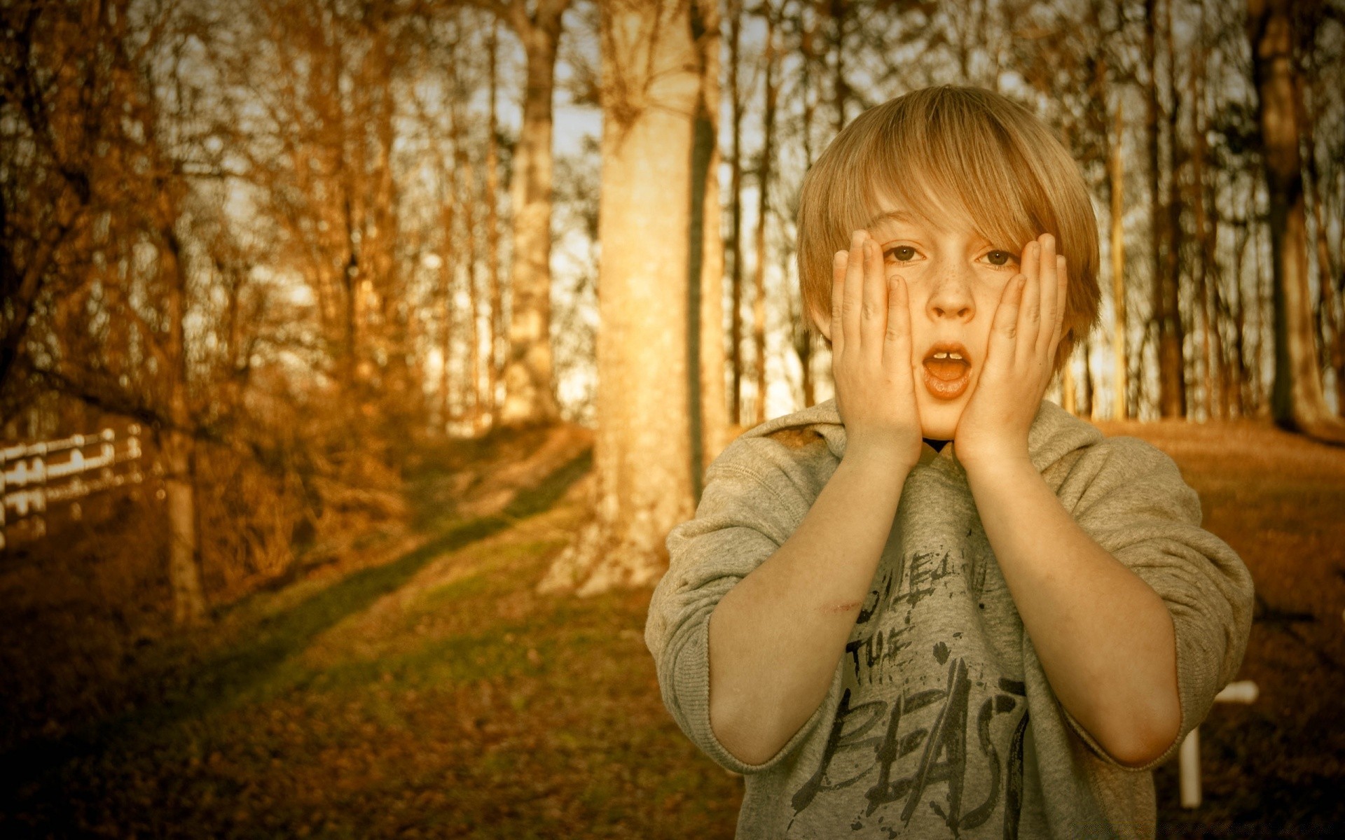 dzieci jesień dziewczyna park dziecko natura portret jeden drewno na zewnątrz drzewo