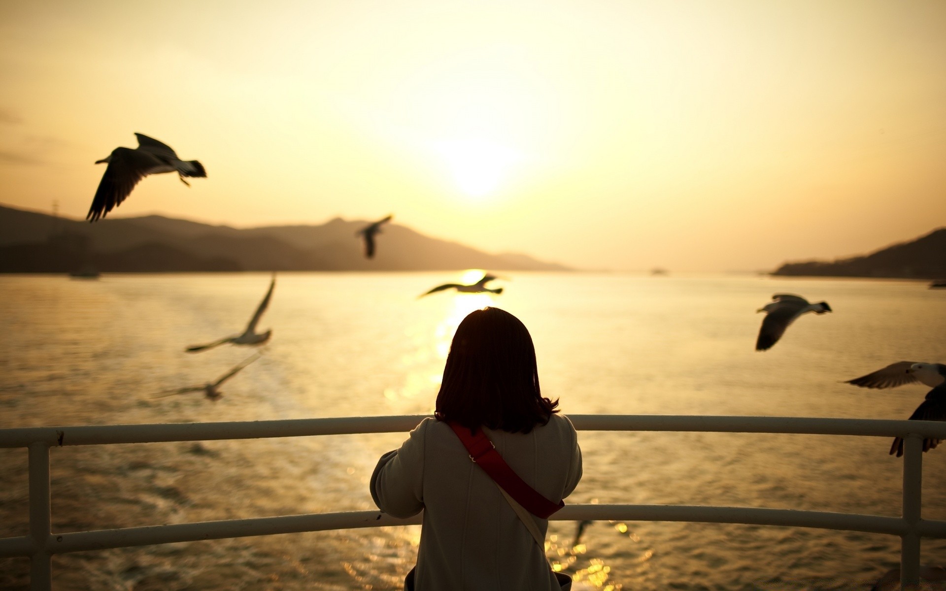 romanticismo tramonto spiaggia alba acqua sole mare oceano illuminato sera sagoma crepuscolo mare sabbia paesaggio cielo uccello riflessione ragazza