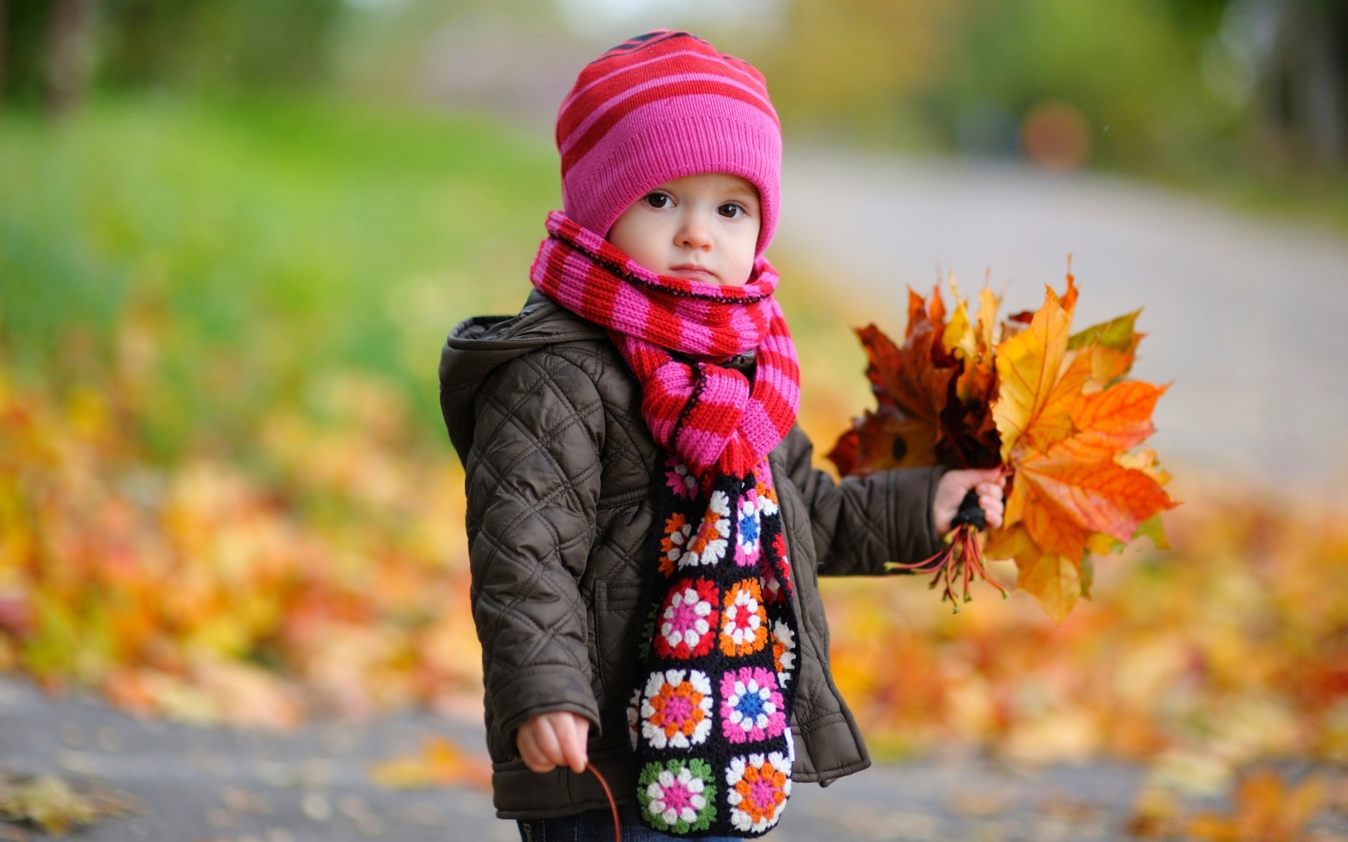 bambini autunno bambino all aperto parco natura acero poco foglia divertimento stagione bambino ragazza