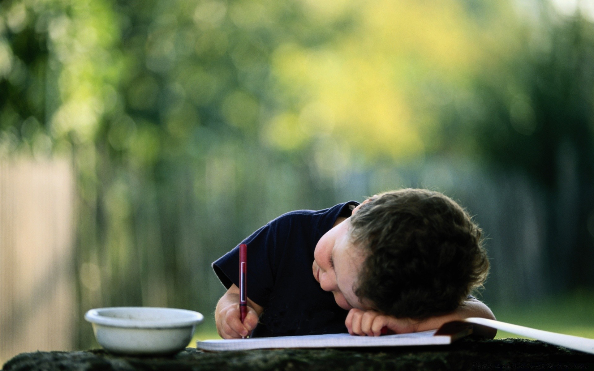 enfants à l extérieur enfant un parc herbe portrait nature homme adulte