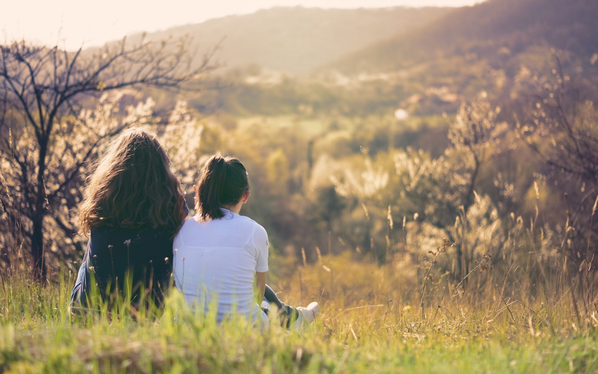 romance sunset grass nature landscape field outdoors sky dawn hayfield backlit sun couple travel two summer fog fair weather tree