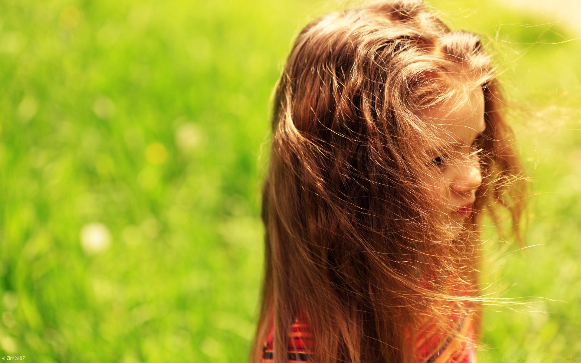 children nature grass hair summer portrait hayfield field young cute outdoors sun little beautiful