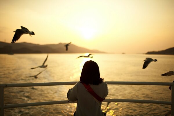 Tramonto romantico con uccelli volanti