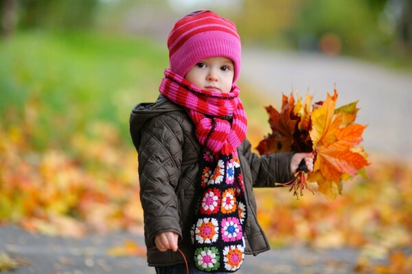 Bebê no outono com um buquê de folhas
