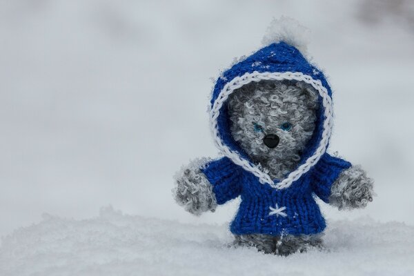 The first fluffy snow in winter