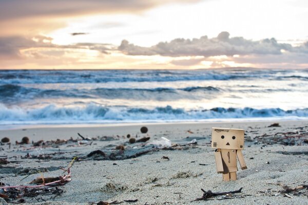 一个荒芜的海滩与一个孤独的纸板人