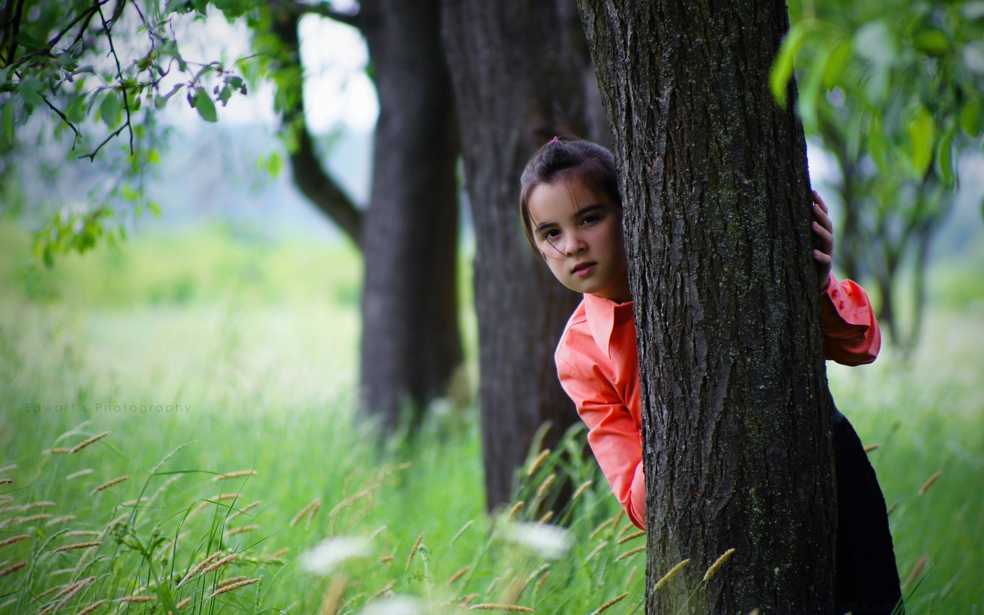 children nature tree park wood outdoors grass summer fall leaf girl