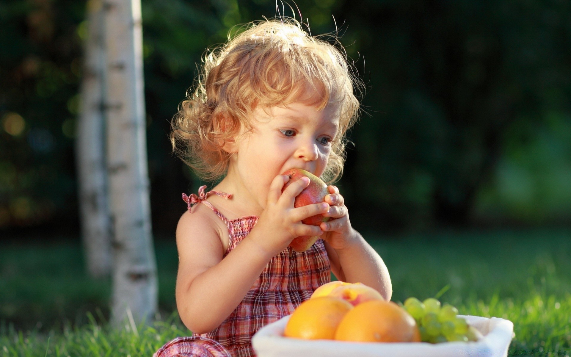 Источника вкусите. Фрукты для детей. Лето дети. Девочка с яблоками. Ребенок кушает.