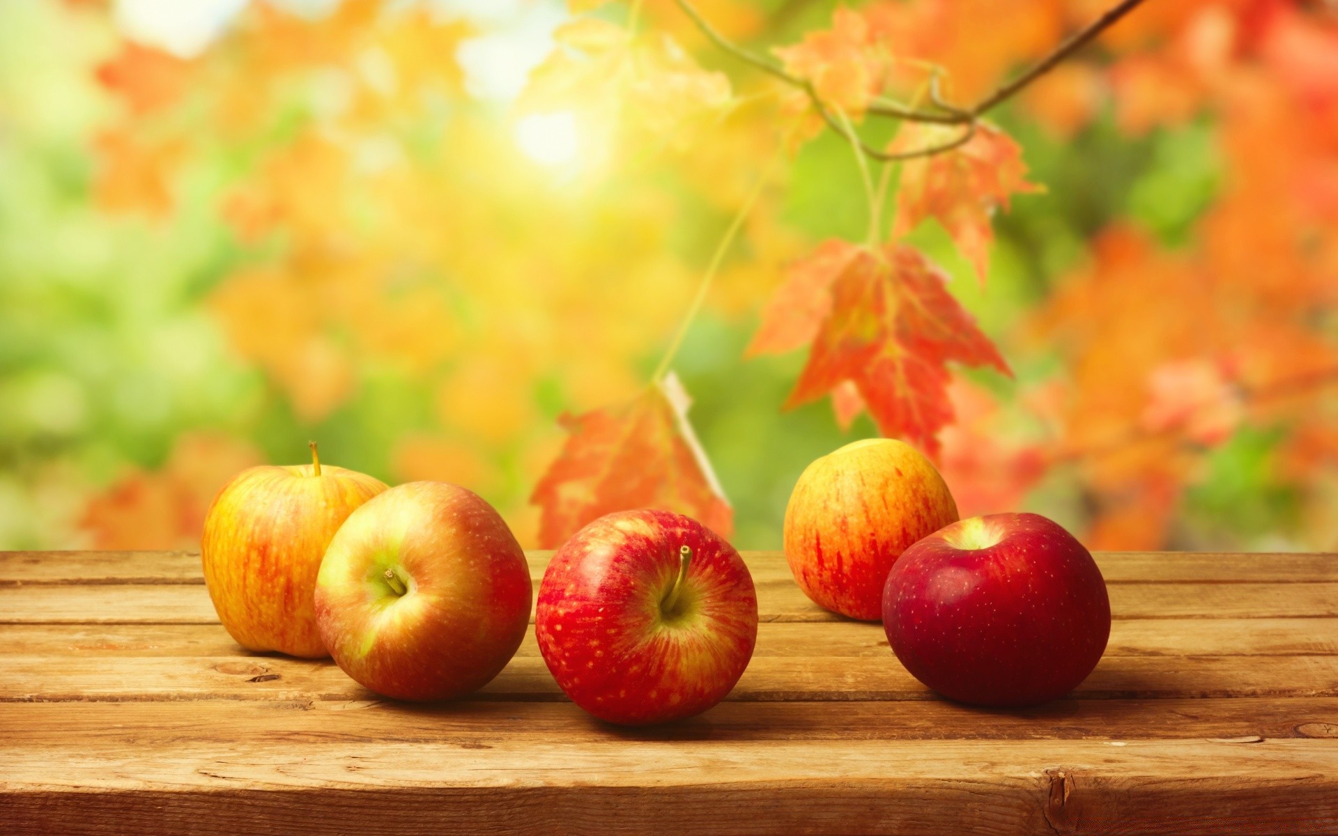 fruits feuille pomme alimentaire en bonne santé automne juteux santé alimentaire en bois pâturage nature délicieux fraîcheur régime alimentaire confiserie couleur bois jardin