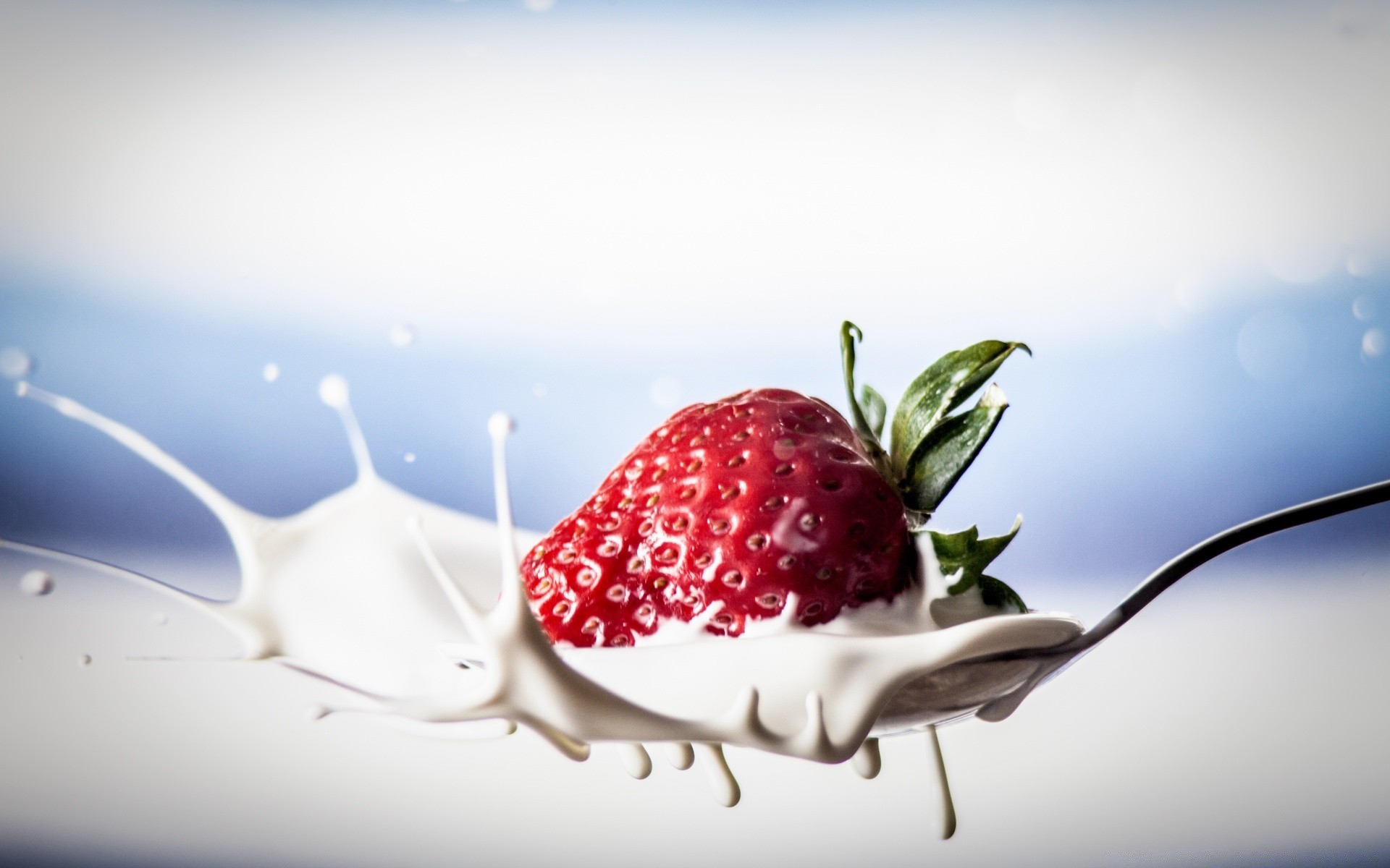 fruit food berry sweet nature still life strawberry refreshment summer delicious leaf