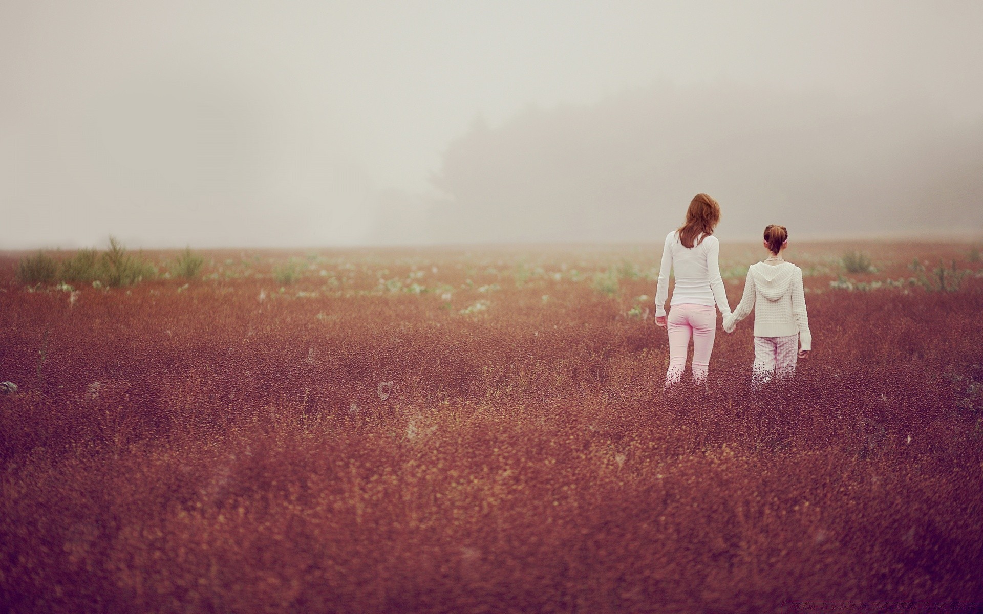 romance paysage coucher de soleil brouillard rétro-éclairé terre cultivée fille aube à l extérieur herbe champ adulte lumière lumière du jour ciel