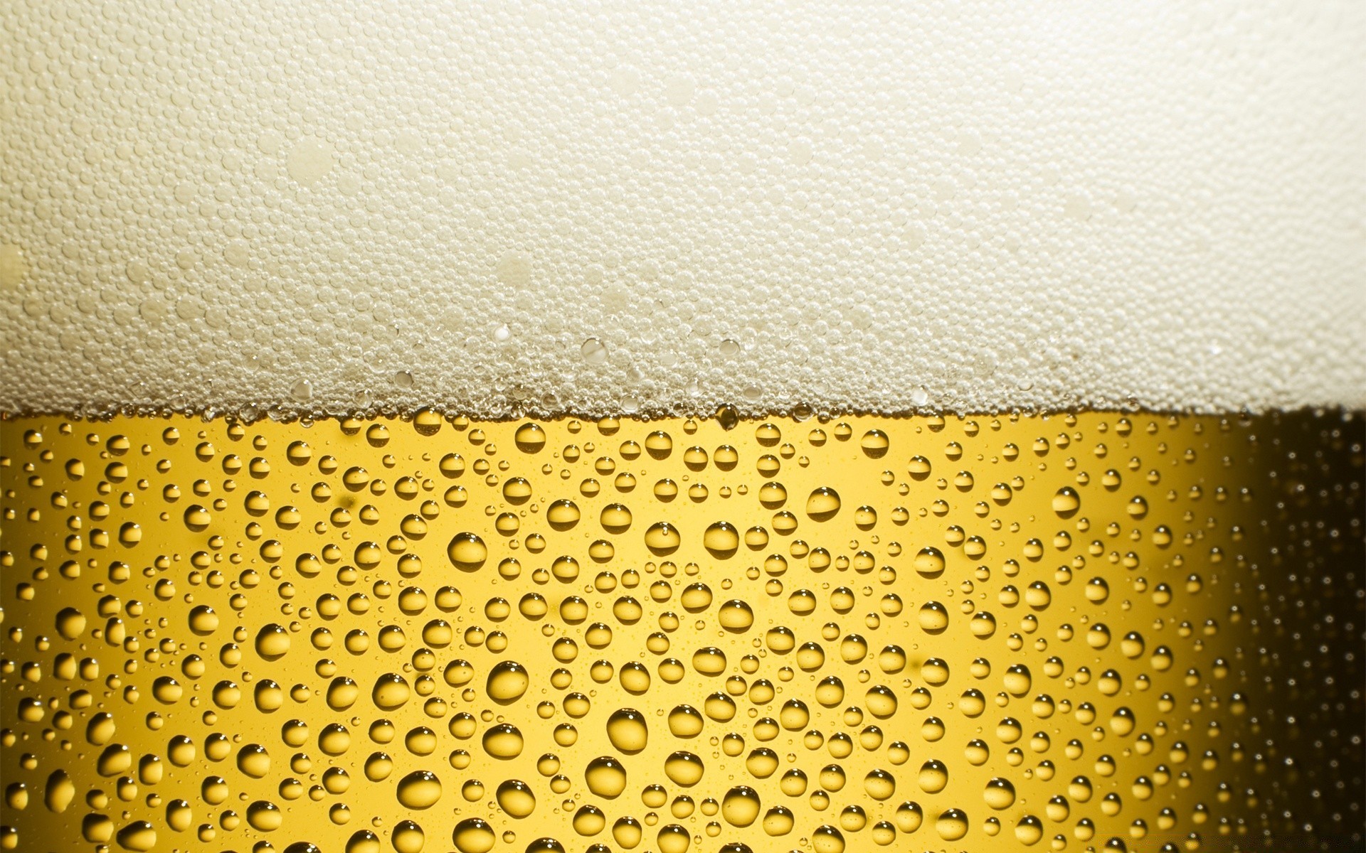 drinks beer foam wet lager bubble glass rain desktop alcohol drop dew brewery drink liquid texture ale gold pattern water