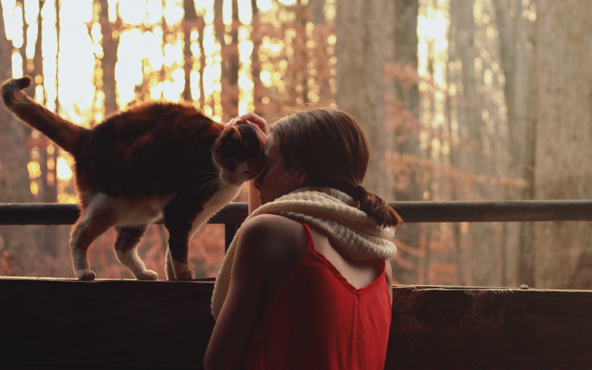 amoureux des animaux un adulte mammifère femme portrait deux à l intérieur chat porter chien enfant fille homme