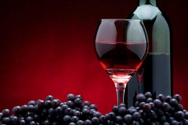 葡萄酒与水果的广告
