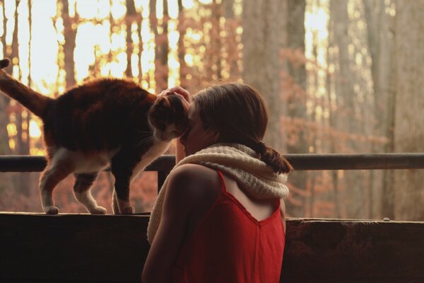 Cat purring with a girl