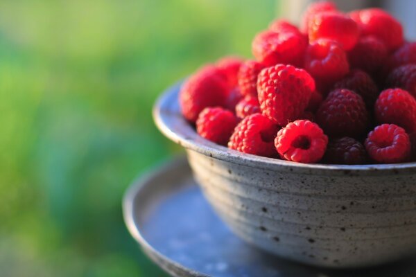 Ripe harvested raspberries in a cup