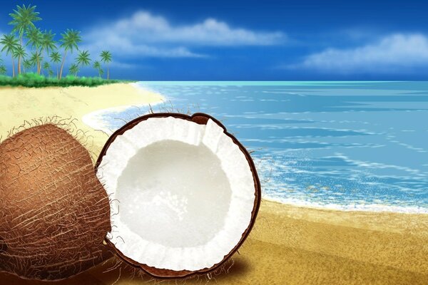 Ambiance de noix de coco sur une plage tropicale