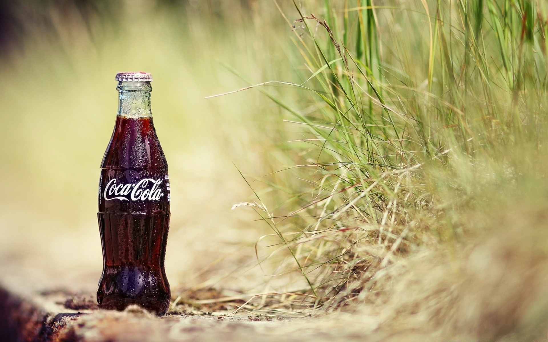 bebidas al aire libre naturaleza hierba verano