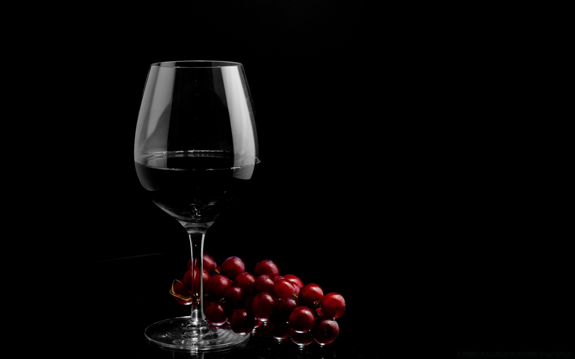 bebida vinho vidro beber álcool escuro vinho tinto merlot copo de vinho luxo adega licor líquido